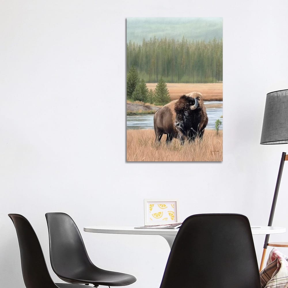 iCanvas "American Bison" by Rachel Stribbling Canvas Print