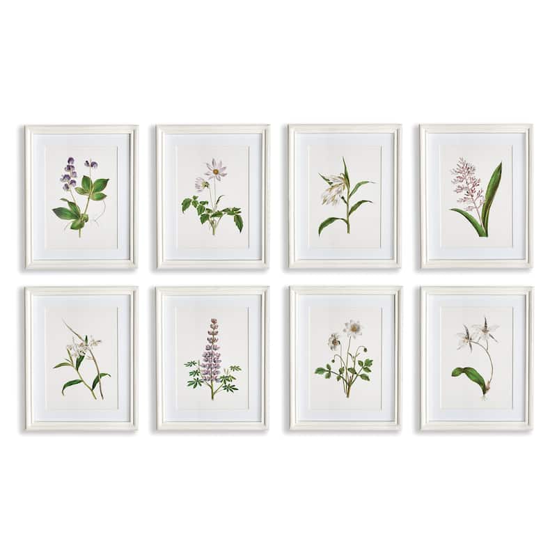flowers in bloom petite prints, set of 8