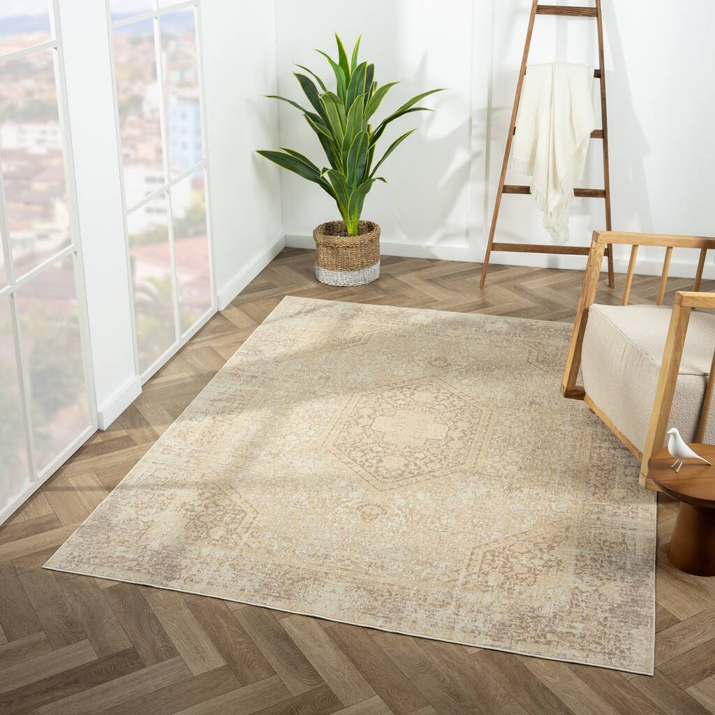 Sevita Traditional Bordered/Medallion Indoor Area Rug