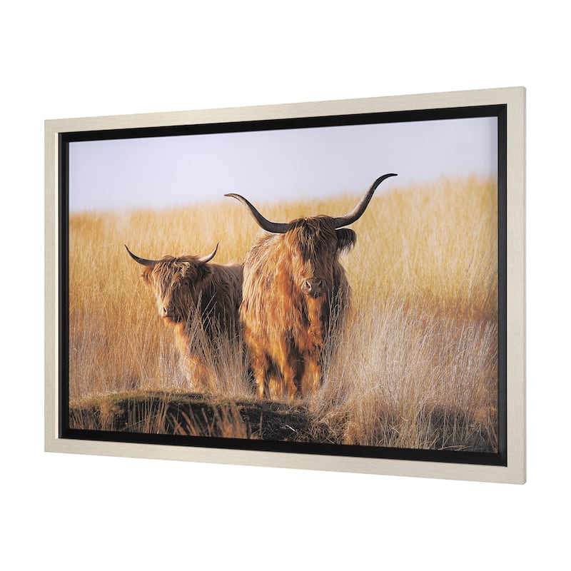 Young and Old Highlander Framed Art Print