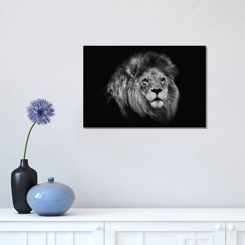 iCanvas "African Lion In Black And White" by David Whelan Canvas Print - 12x18x1.5