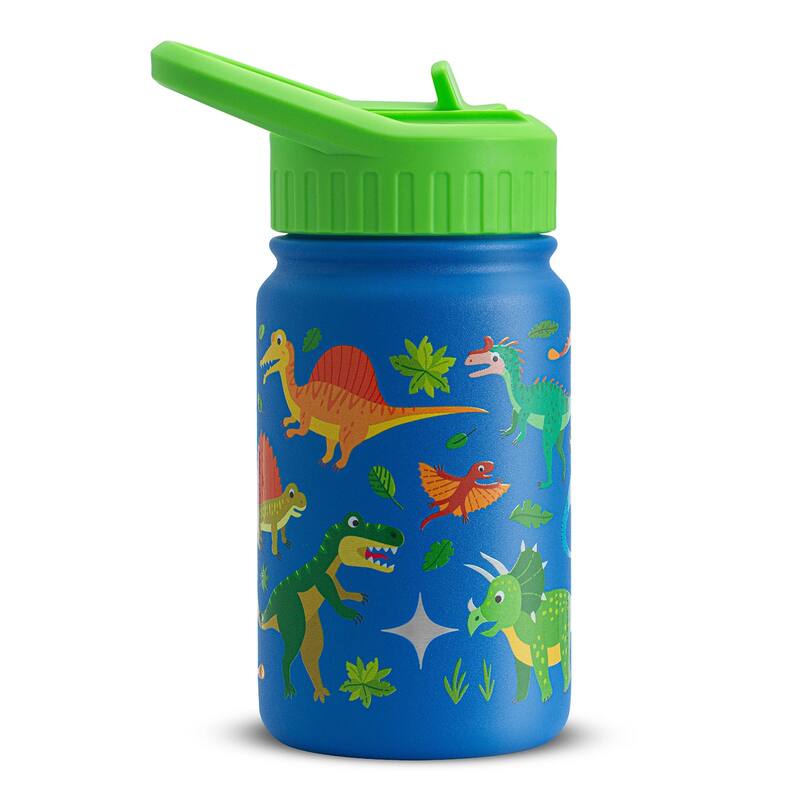 Stainless Steel Kids Water Bottle with Straw Lid - 12 oz - Dino Friends