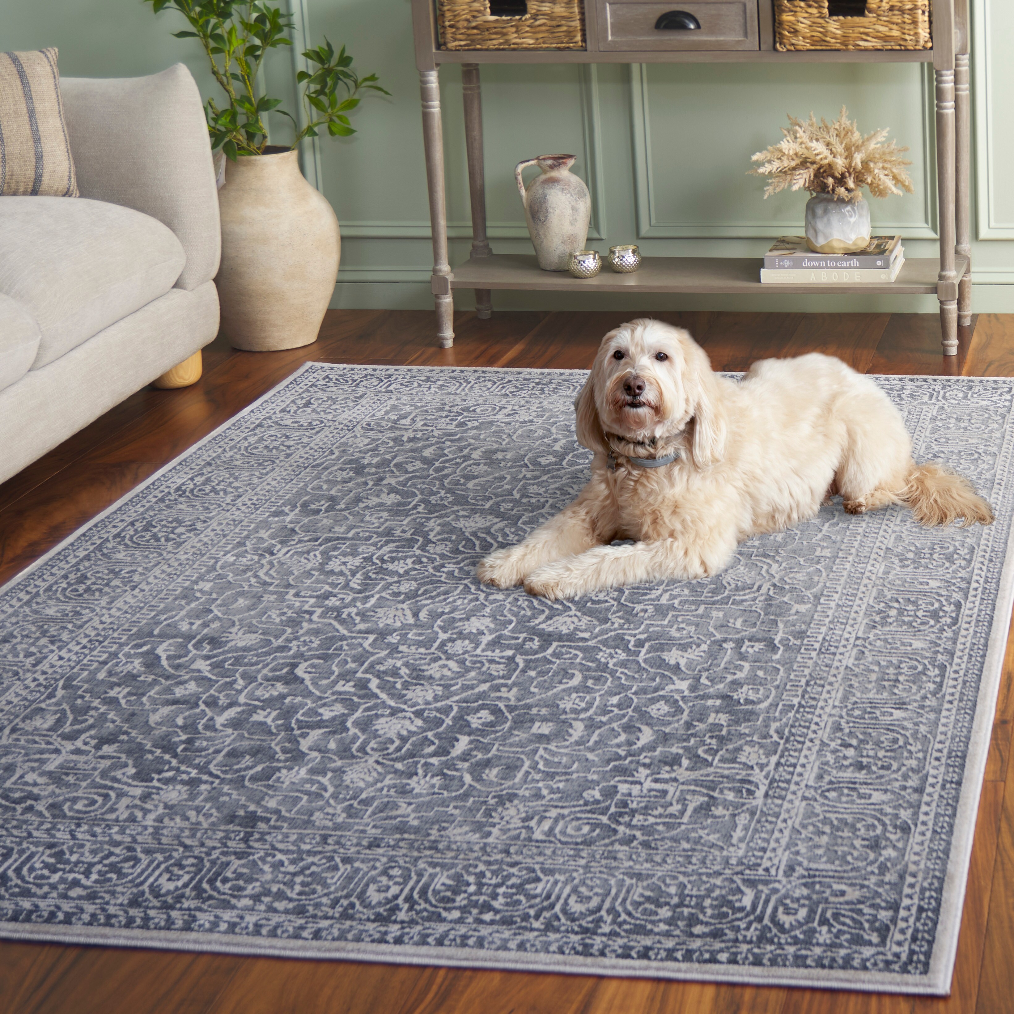 SAFAVIEH Reflection Elzada Oriental Rug - Overstock - 40457970