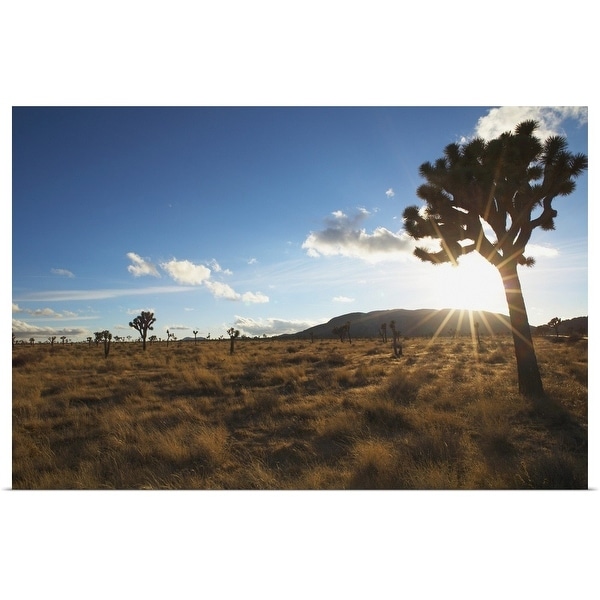"Desert landscape with tree and blue sky" Poster Print