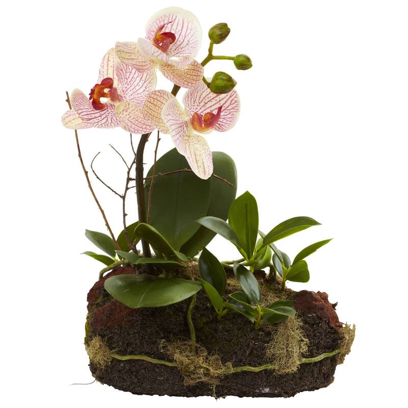 Tropical Phalaenopsis Arrangement - Elegant Floral Decor for Home Office - Potted Orchid Duo - 10