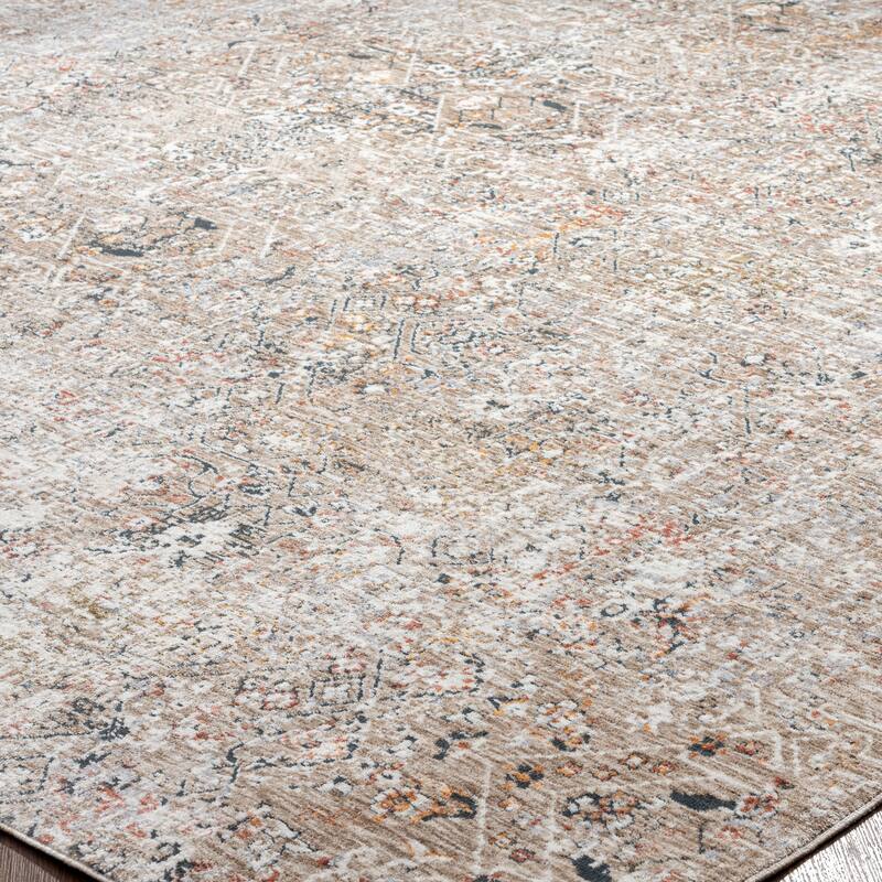 Earth Tones/Pewter Transitional Area Rug