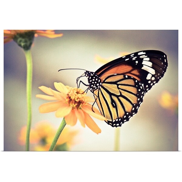 "Butterfly on flower in Hong Kong Park, Hong Kong." Poster Print