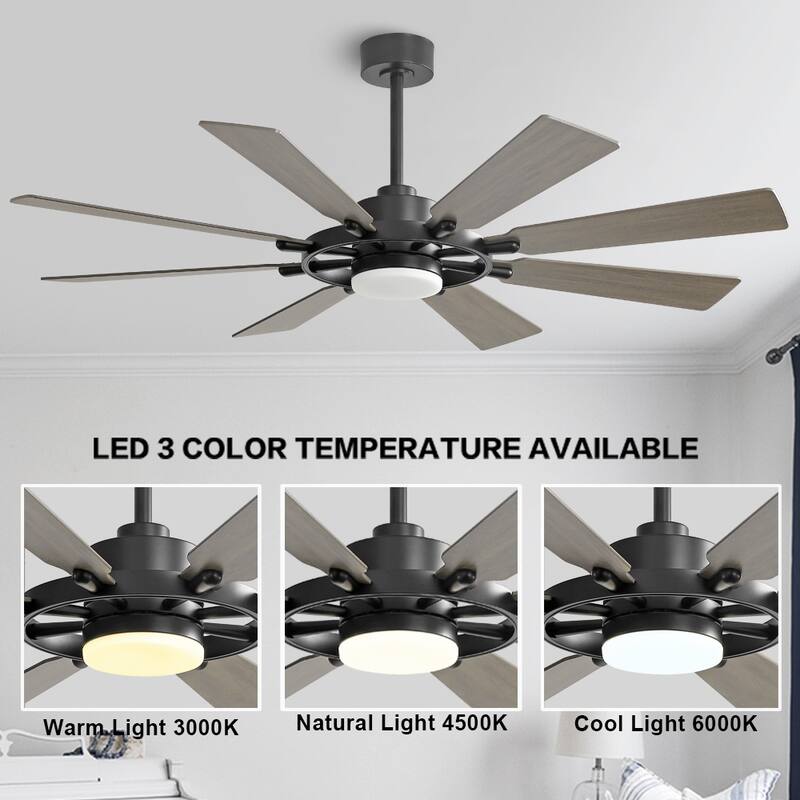 WINGBO 80-inch 8-Blades Indoor DC Motor Ceiling Fan With LED Light and Remote Control