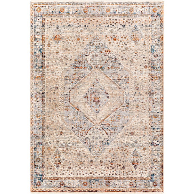 Artistic Weavers Seren Vintage Distressed Area Rug