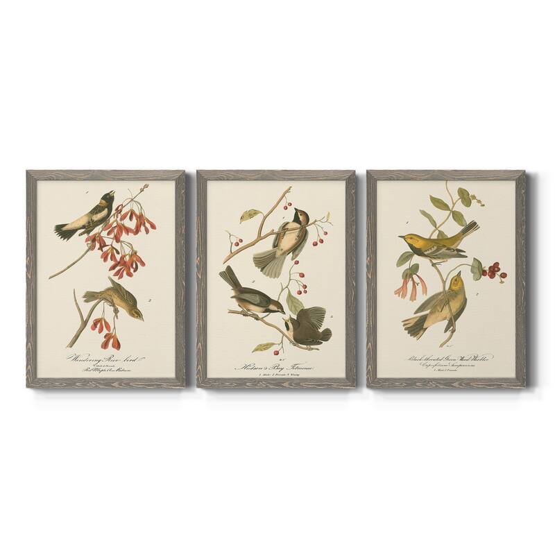 Wandering Rice Bird-Premium Framed Canvas - Ready to Hang - Multi-Color - 18X24 - Grey