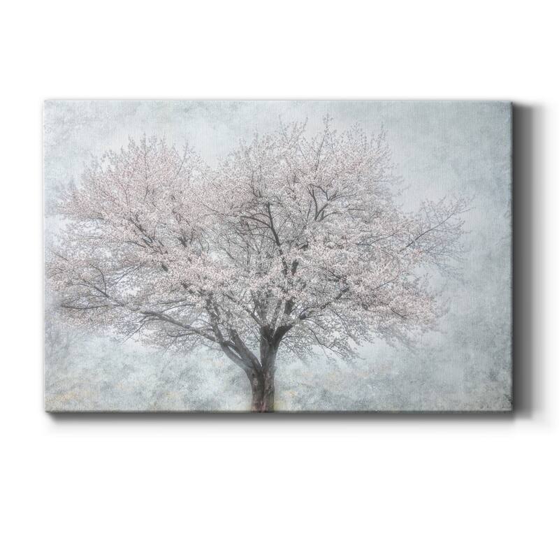 A Feel of Spring II Premium Gallery Wrapped Canvas - Ready to Hang - 8X12
