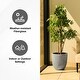 preview thumbnail 61 of 59, Kante 18 Inch Dia Round Concrete Planter, Indoor Outdoor Large Plant Pot