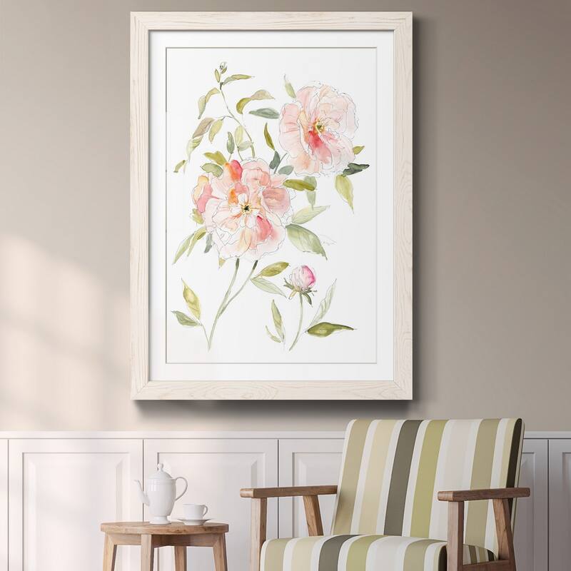 Sketchbook Cottage Rose II-Premium Framed Print - Ready to Hang