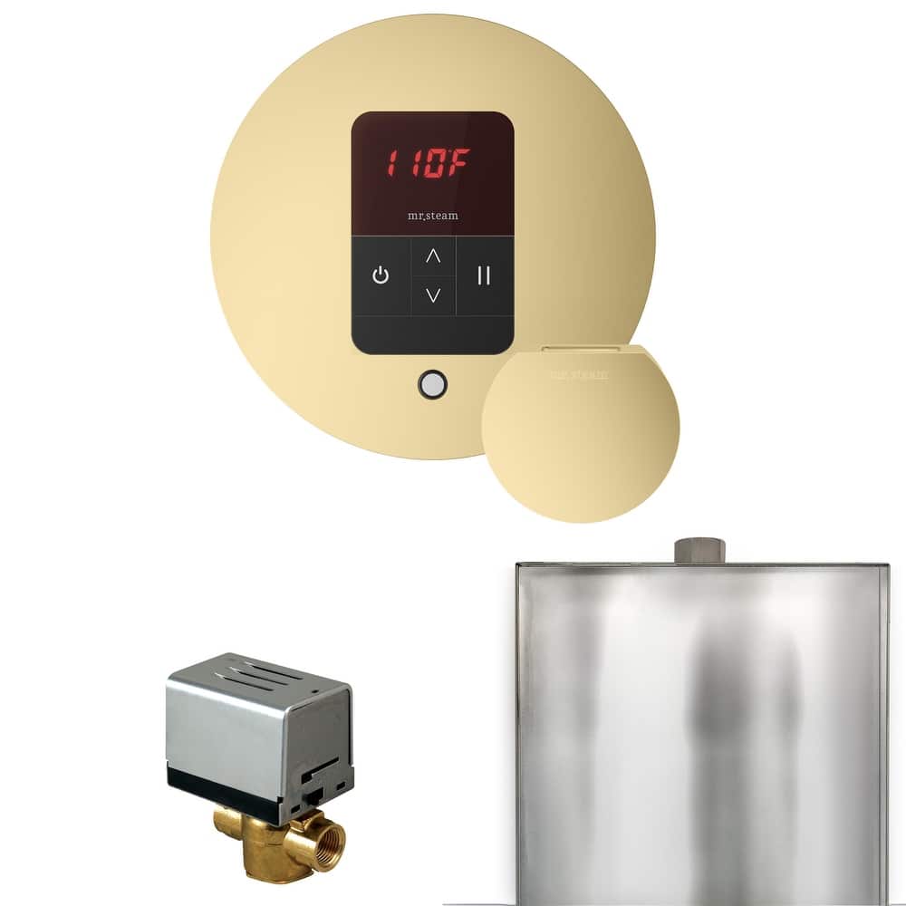 Mr Steam BBR Basic Butler Package Steam Shower Control Package with