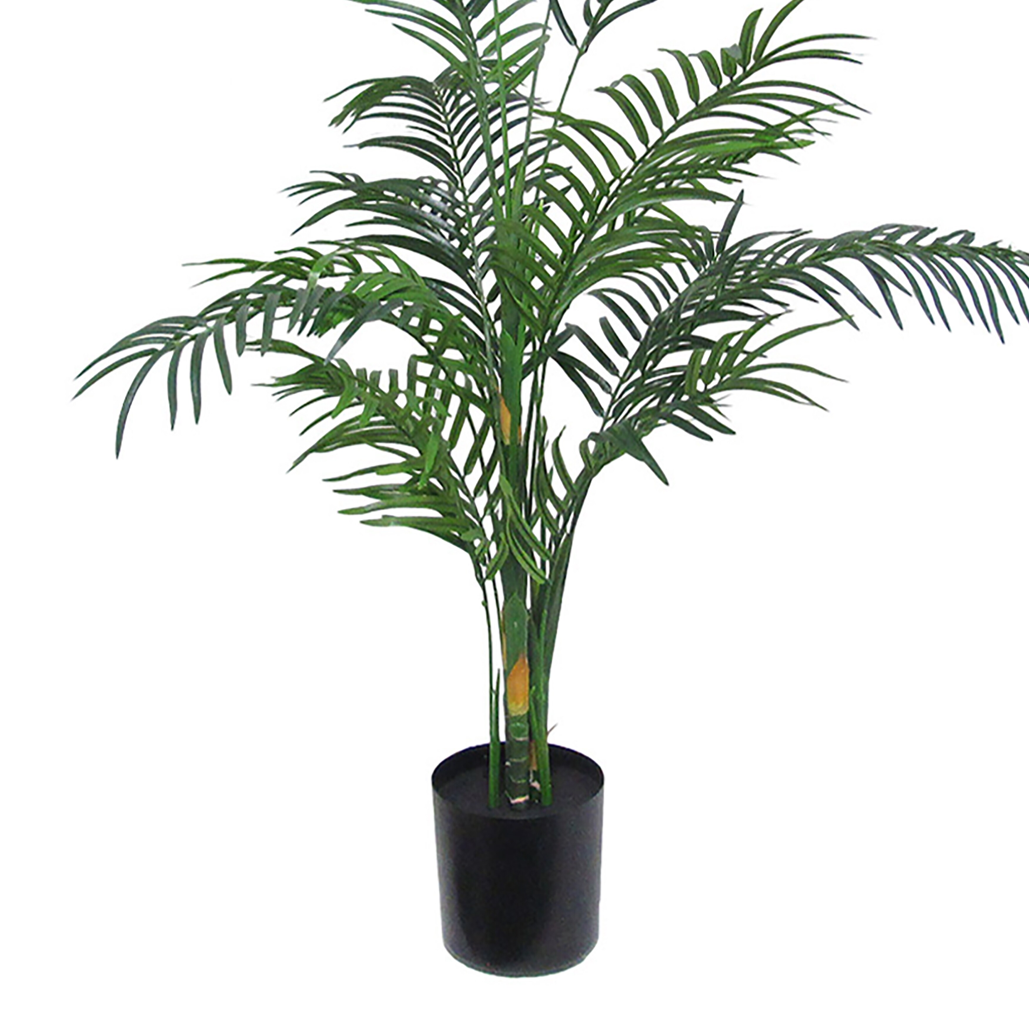 5ft Artificial Reed Bamboo Palm Tree Tropical Plant in Black Pot - 60" H x  33" W x 33" DP - Bed Bath & Beyond - 32004351