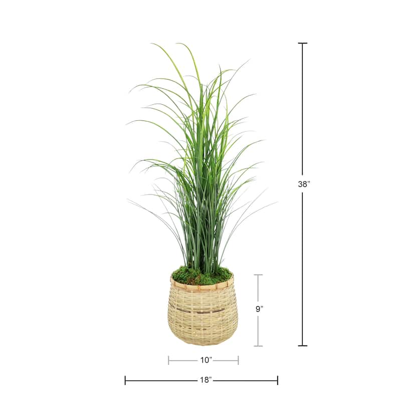 Grass in Bamboo Planter - 38