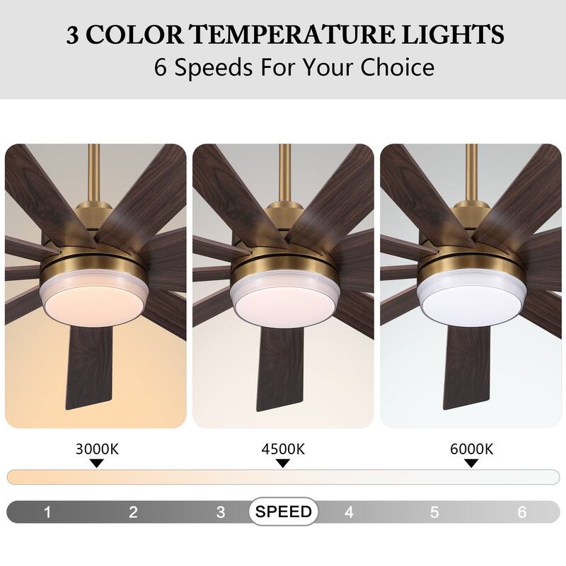 WINGBO 65/72 inch DC Motor Indoor Ceiling Fan with Light & Remote...