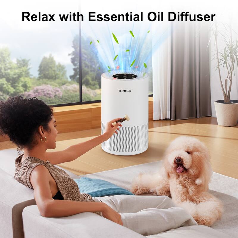 HEPA Air Purifier with Aromatherapy for Large Rooms