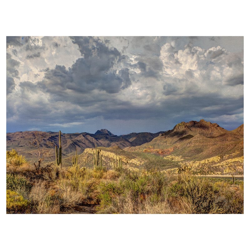 Stormy Dessert by Robert Murray Canvas Art Print