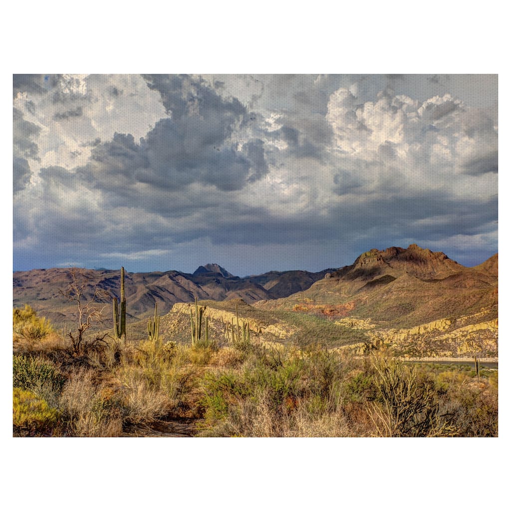 Stormy Dessert by Robert Murray Canvas Art Print