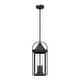 preview thumbnail 7 of 20, Brits 3-Light Outdoor Pendant Light