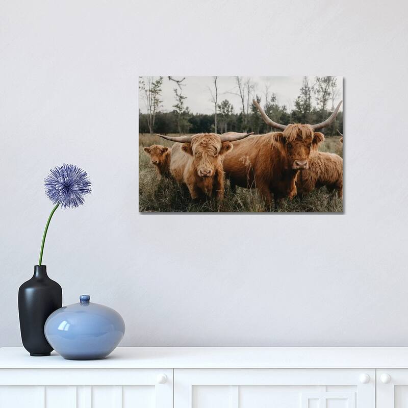 iCanvas "Highland Cow Herd" by Chelsea Victoria Canvas Print - 12x18x1.5