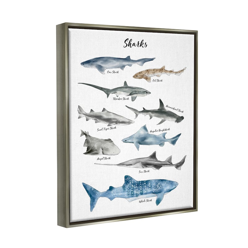 Stupell Nautical Shark Chart Watercolor Marine Animals Floater Frame - White