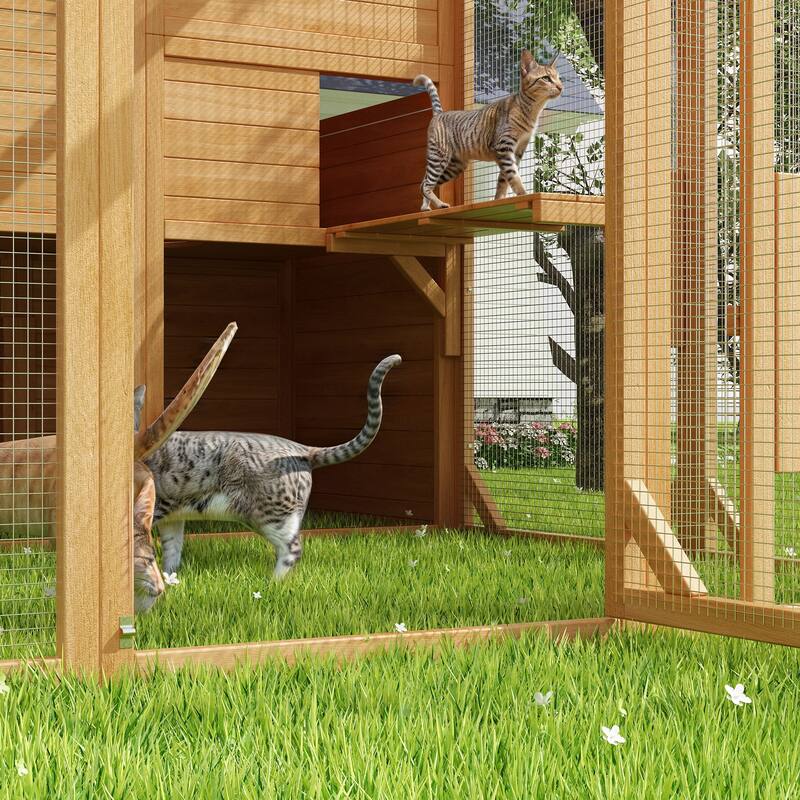 Cat Catio Window Box for 6 to 8 Kittens, Lockable House with 5 Windows