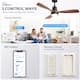 Option 48'' Smart Ceiling Fan with Light