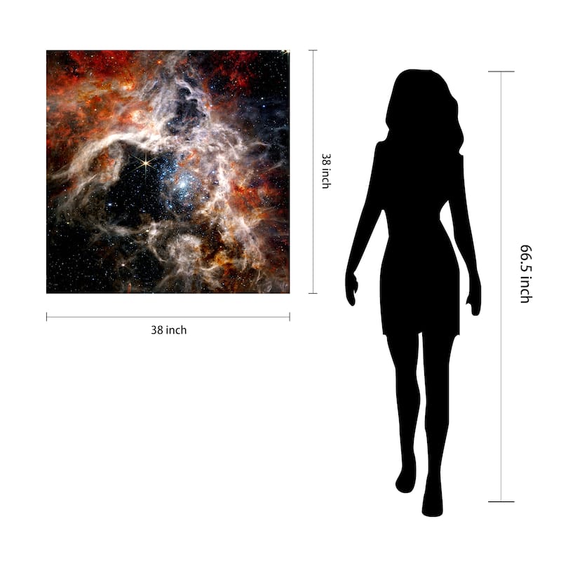 Empire Art Direct The Tarantula Nebula Printed Tempered Glass Wall Art - Multi-Color