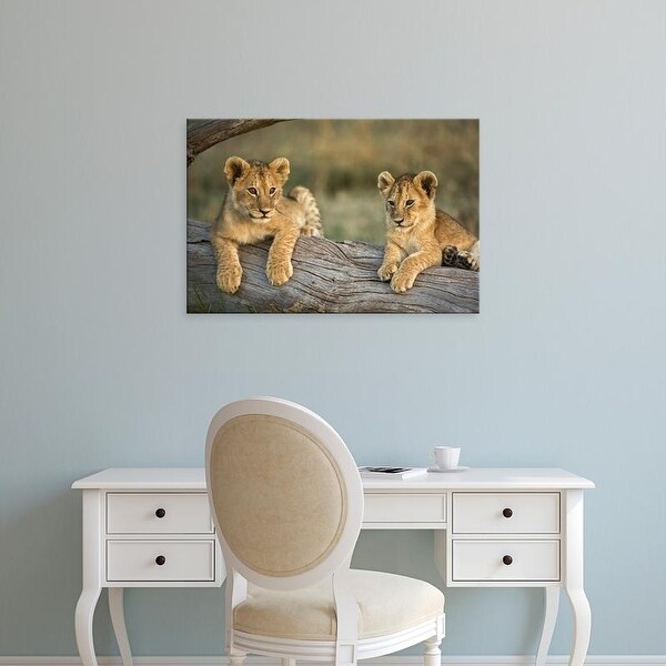 Easy Art Prints Adam Jones's 'Lion Cubs On Log' Premium Canvas Art