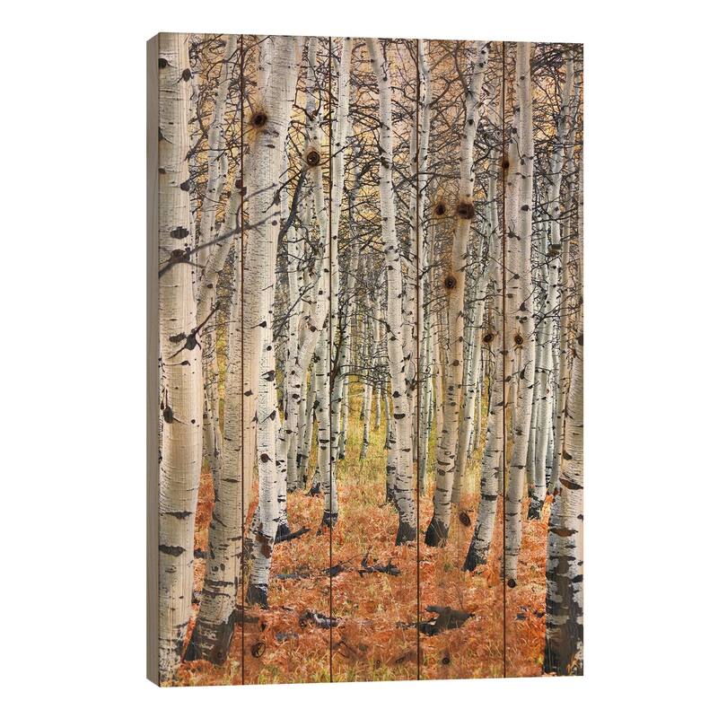 Autumn In Aspen Print On Wood by Unknown Artist - Multi-Color - 40x26x1.5