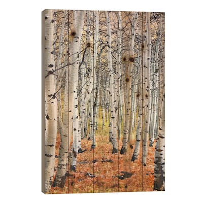 Autumn In Aspen Print On Wood by Unknown Artist - Multi-Color