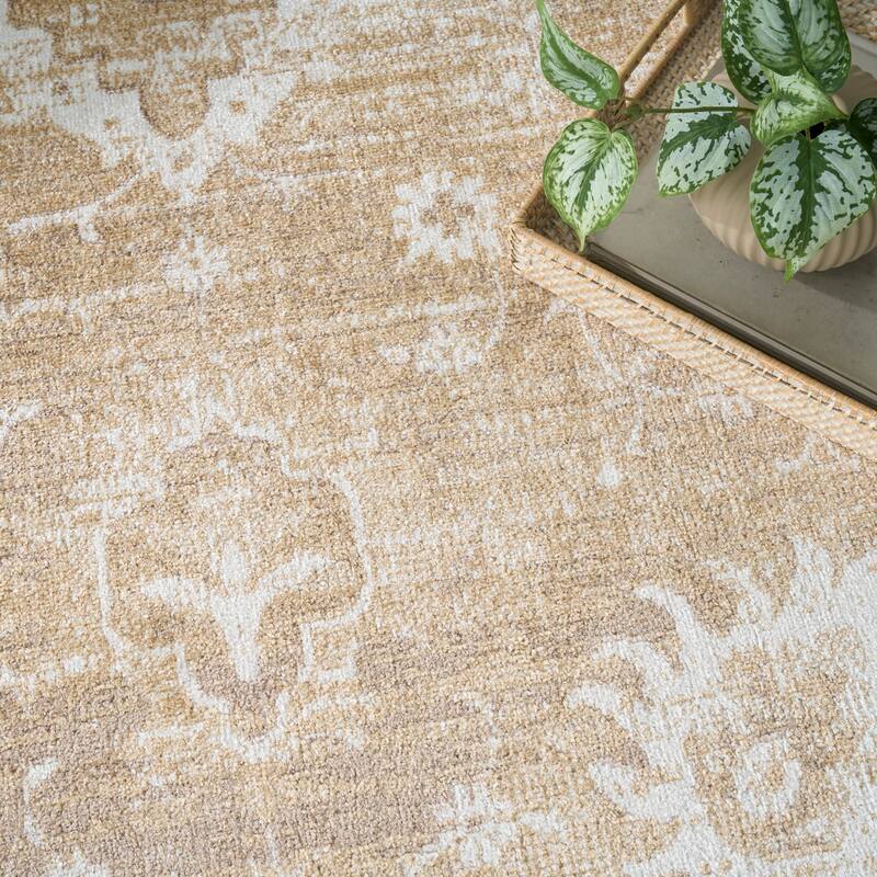 Nourison Astra Machine Washable Indoor only Persian Area Rug
