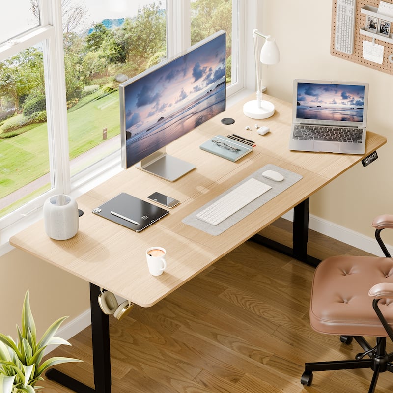 Electric Standing Desk, Height Adjustable Desk with Memory Preset and LED Display