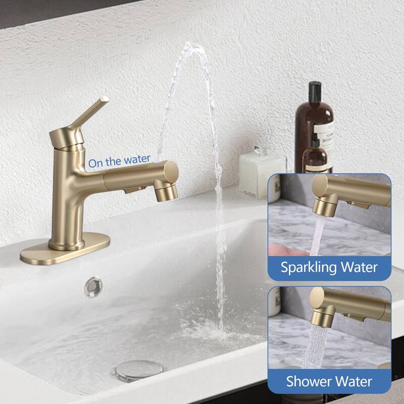 Topcraft Single Handle Pull-Out Bathroom Faucet with Pop-Up Drainer
