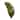 Varaluz Banana Leaf Wall Sconce - 2-Light - Banana Leaf