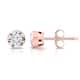Option Rose