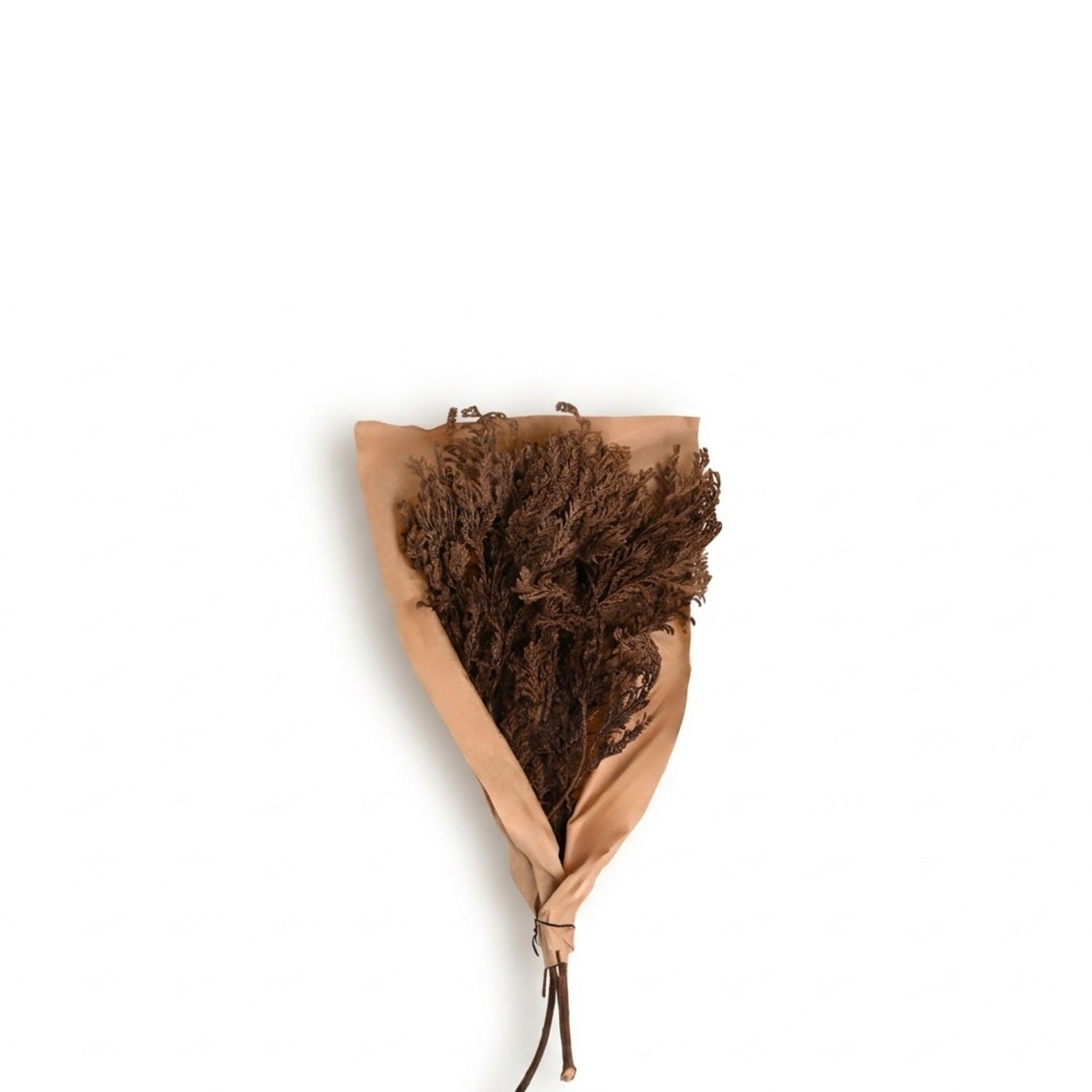 Jhau Tree 75gm Paper Poly