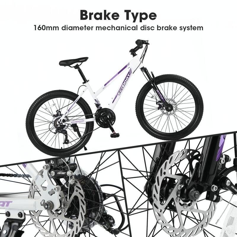26 inch Mountain Bike, Shimano 21 Speeds with Dual Disc Brakes