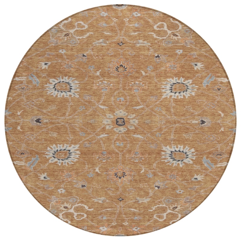 Machine Washable Indoor/ Outdoor Traditional Persian Chantille Rug