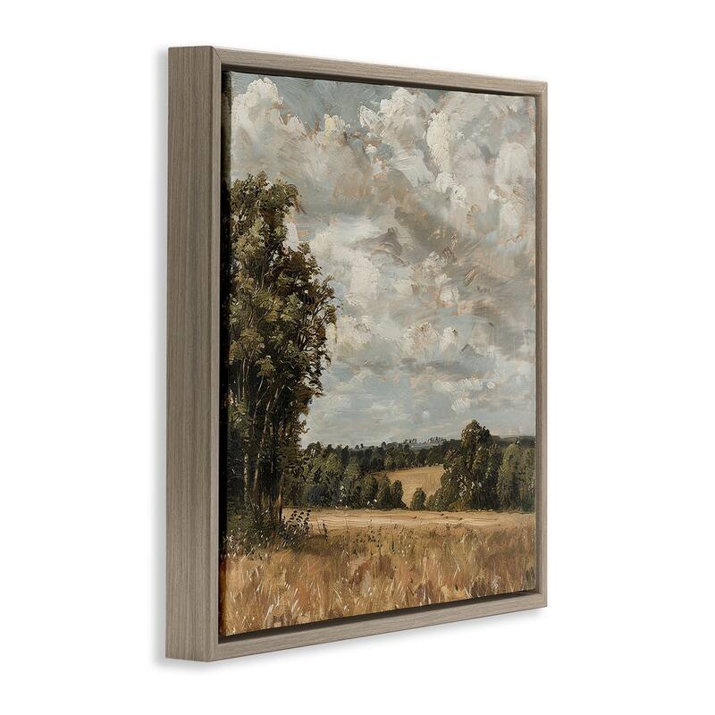 Stupell Clouds Over Country Scenery Framed Floater Canvas Wall Art Design By LSR Creative Studio