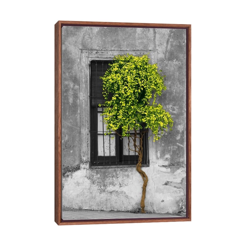 Large Wall Art, Framed Art, Modern Art, Plants, Botanical, by Panoramic Images - Walnut