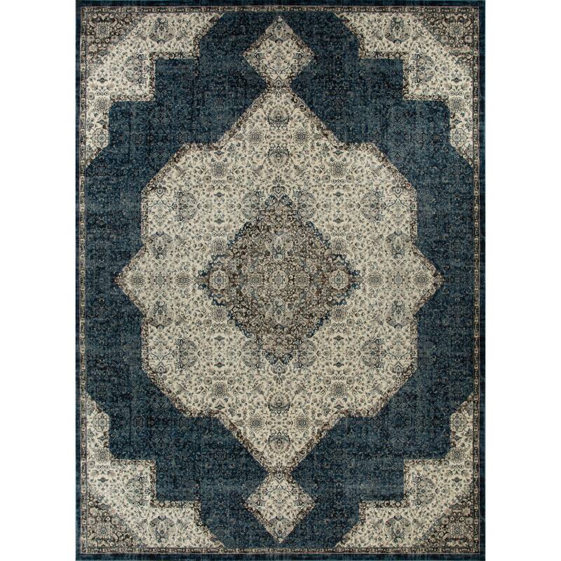 Anila Collection Transitional Oriental Area Rug - 7'10 X 10 - Blue/White/Grey