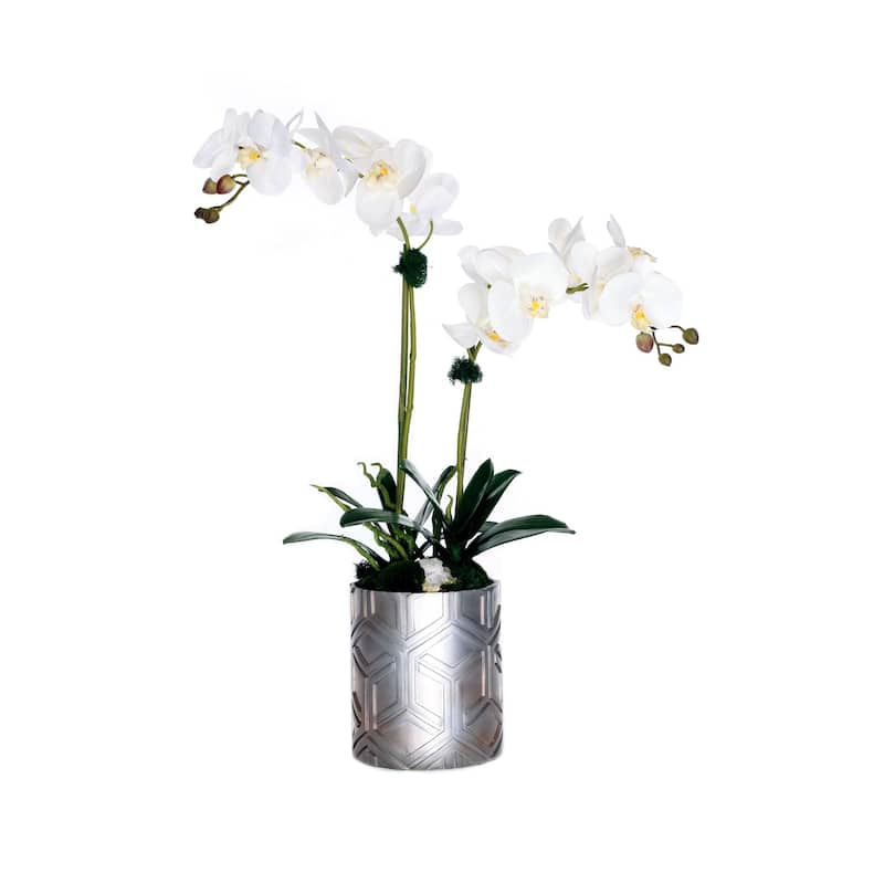 Real Touch Phalaenopsis Orchids /Geodes/Moss in Decor Silver Pot