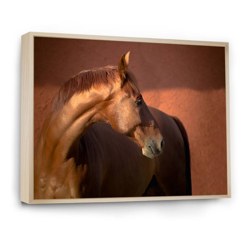 Designart "Portrait Of The Chestnut Thoroughbred Horse" Traditional Framed Canvas Wall Art Print