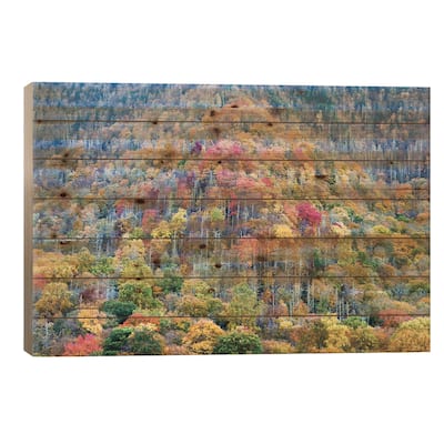 Colorful Autumn Landscape, Great Smoky Mountains National Park, Tennessee, USA Print On Wood by Jamie & Judy Wild - Multi-Color