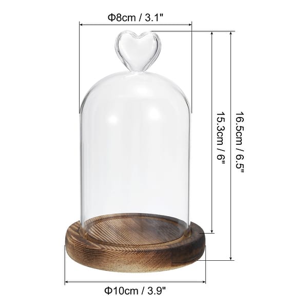 Glass Dome Cloche Clear Glass Bell Jar Display Case with Wooden Base