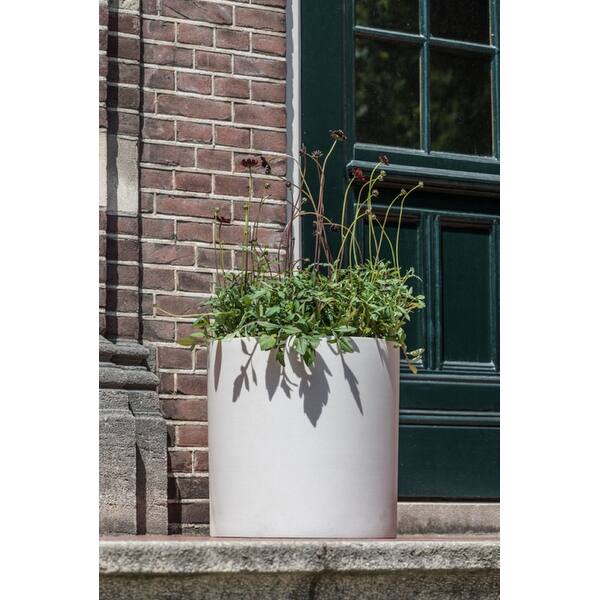 bonsai tree shop Bonsai Tree Bundle main image 1