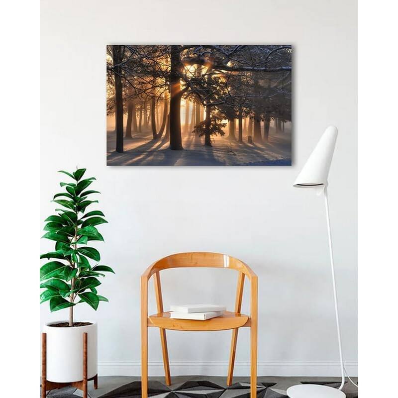 Sunrise in a Snowy Forrest Photography by Wayne Collamore Art Poster - Print On Demand - 24 x 36 Inch
